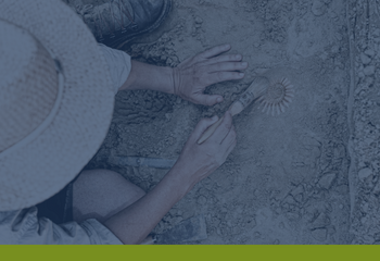 Person using brush on a fossil